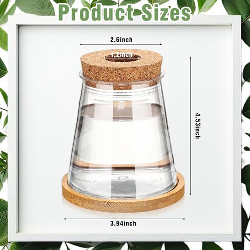 12 Packs Plastic Desktop Plant Terrariums Propagation Planter Water Station Tabletop Planting Vase with Lid and Bamboo Stand for Growing Hydroponic Home Office Table Decoration, 2.5 x 4 Inch in Kuwait
