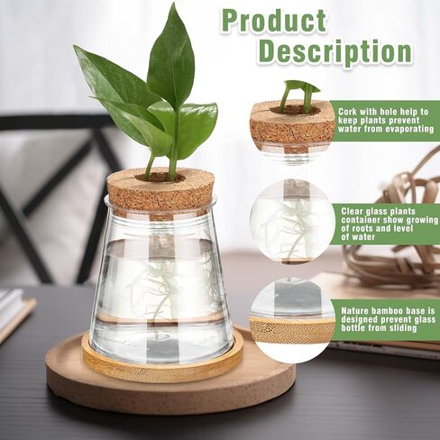 12 Packs Plastic Desktop Plant Terrariums Propagation Planter Water Station Tabletop Planting Vase with Lid and Bamboo Stand for Growing Hydroponic Home Office Table Decoration, 2.5 x 4 Inch in Kuwait