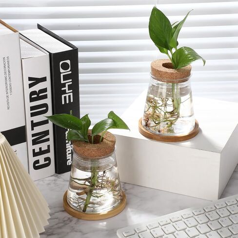 12 Packs Plastic Desktop Plant Terrariums Propagation Planter Water Station Tabletop Planting Vase with Lid and Bamboo Stand for Growing Hydroponic Home Office Table Decoration, 2.5 x 4 Inch in Kuwait