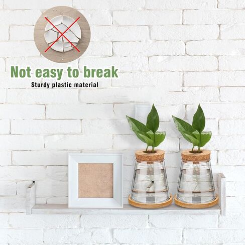 12 Packs Plastic Desktop Plant Terrariums Propagation Planter Water Station Tabletop Planting Vase with Lid and Bamboo Stand for Growing Hydroponic Home Office Table Decoration, 2.5 x 4 Inch in Kuwait