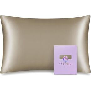 OLESILK 100% Mulberry Silk Toddler Pillowcase for Hair and Skin, Both Sides 19 Momme Pure Natural Silk Travel Pillow Cases with Hidden Zipper, 13"x 18", Pink