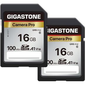 Gigastone 256GB SD Card with USB Type C Card Reader V30 SDXC Memory Card High Speed 4K Ultra HD UHD Video Compatible with Canon Nikon Sony Panasonic Digital Camera, with 1 Mini case