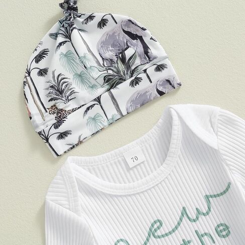 Newborn Infant Baby Boy Outfit Little Brother Romper Infant Letter Print Dinosaur Clothes Drawstring Pants Hat in Kuwait