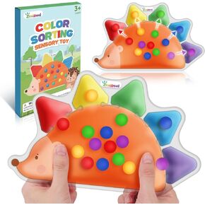 Color Sorting Toys Sensory Toys : Fine Motor Skill Games Learning Toys for Toddlers, Color Matching Preschool Activities Educational Calm Down Toys Montessori Toys for Kids Boys Girls Gifts Ages 3+