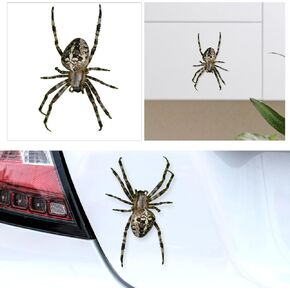 Large Realistic Spider Window Stickers, Indoor Outdoor Vinyl Stickers, Car Window Stickers for Windows Cars Laptops Motorcycles Trucks Walls (8.2" x 8.2")
