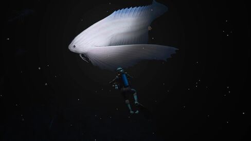 Endless Ocean™ المضيء in Saudi Arabia