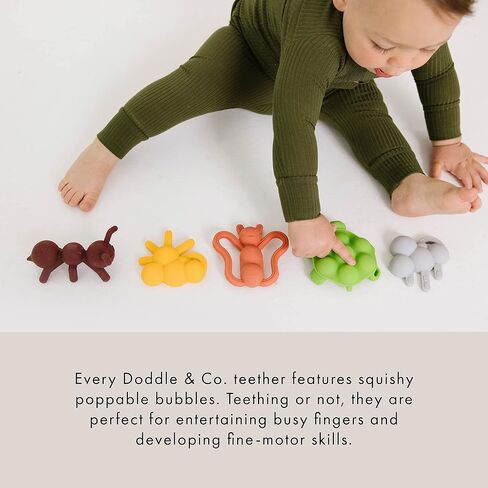 Doddle & Co. The Chew Ant Teether with Poppable Bubbles | Toddler Teething Fidget Toy for Baby | Enhaces Oral Fit & Easy to Hold & Grab | Helps to Promote Development for New Born Babies | Pack of 1 in Saudi Arabia