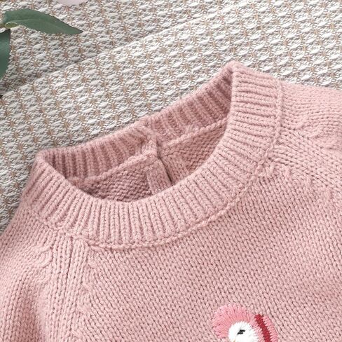 Toddler Baby Girl Boys Sweater Embroidery Long Sleeve Pullover Tops Knitted Sweatshirt Fall Winter Clothes in Kuwait