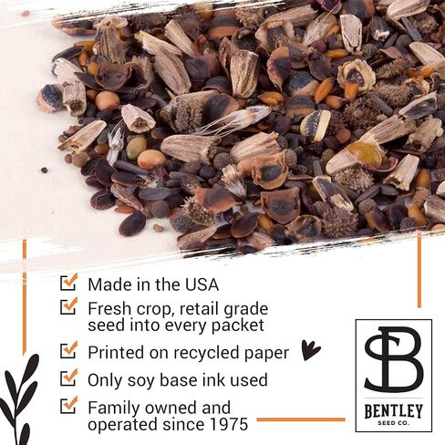 BENTLEY SEED CO. Oh Baby Flower Seeds Packets - Girl/Boy Baby Shower Favors - Pre-Filled, 25 Wildflower Seed Packs for Favor - Eco-Friendly Gift & Babys Guest Giveaways - Non-GMO Seeds - Brown Envelop in Saudi Arabia