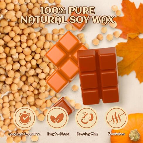 Christmas Scented Wax Melts Set, SNOWSEN Soy Wax Cubes for Warmer, Christmas Wreath, Apple Cinnamon, Gingerbread, Christmas Tree,Candy Cane, Christmas Pudding,Cranberry Jam,Sugar Cookies, 8x2.5 oz in Saudi Arabia