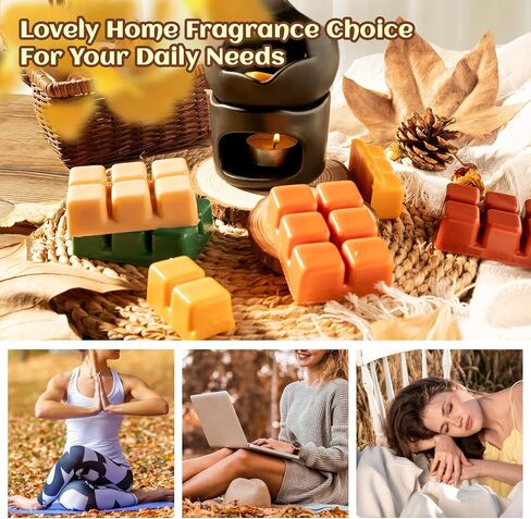 Christmas Scented Wax Melts Set, SNOWSEN Soy Wax Cubes for Warmer, Christmas Wreath, Apple Cinnamon, Gingerbread, Christmas Tree,Candy Cane, Christmas Pudding,Cranberry Jam,Sugar Cookies, 8x2.5 oz in Saudi Arabia