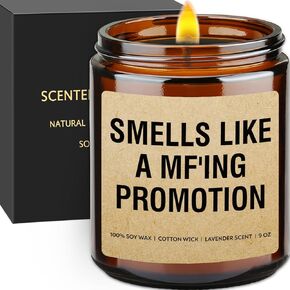 Gifts for Sister in Law, Sister Birthday Gifts, Christmas Gifts for Sister in Law, Brother Wedding Gifts, Novelty Gifts for Brother Engagement, Bridal Shower Candle, On Your Last Nerve Gifts