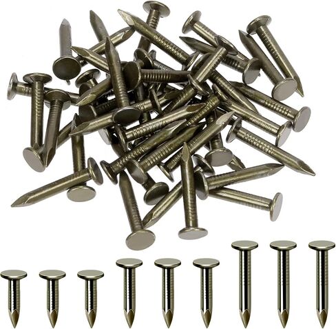 Hilitchi 300Pcs 20mm Steel Roofing Felt Nails Roofing Felt Pins Roofing Felt Lacquered Nails Asphalt Nails Used to Fasten Roofing Felt Asphalt Singles Slate Boards ﻿ in Saudi Arabia