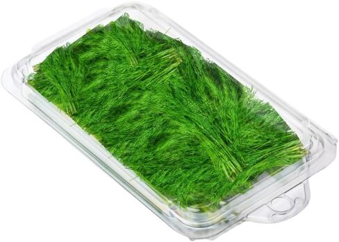 Smygoods Herbs Disposable Clamshell Containers, 0.25 oz, Pack of 50 in Saudi Arabia