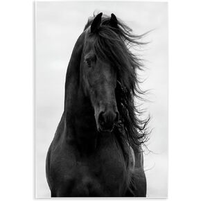 Stupell Industries Black Stallion Horse Portrait Soft Grey Sky Photography, Design by Carol Walker White Framed Wall Art, 16x20