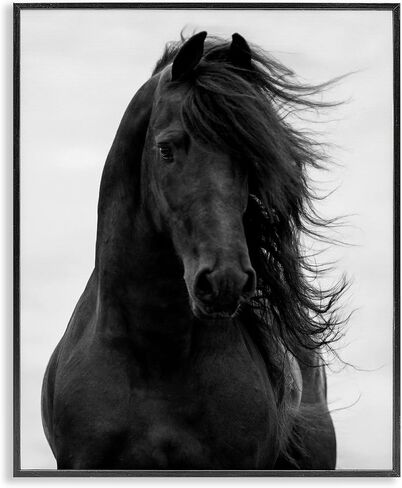 Stupell Industries Black Stallion Horse Portrait Soft Grey Sky Photography, Design by Carol Walker White Framed Wall Art, 16x20 in Saudi Arabia