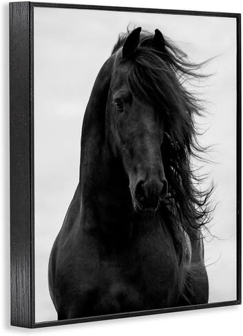 Stupell Industries Black Stallion Horse Portrait Soft Grey Sky Photography, Design by Carol Walker White Framed Wall Art, 16x20 in Saudi Arabia