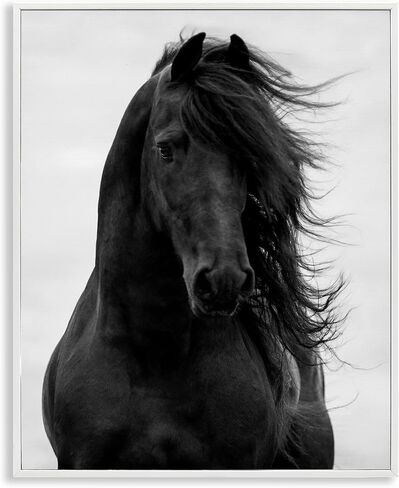Stupell Industries Black Stallion Horse Portrait Soft Grey Sky Photography, Design by Carol Walker White Framed Wall Art, 16x20 in Saudi Arabia