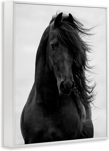 Stupell Industries Black Stallion Horse Portrait Soft Grey Sky Photography, Design by Carol Walker White Framed Wall Art, 16x20 in Saudi Arabia