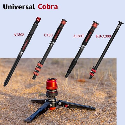 IFOOTAGE Cobra 3 Base,Monopod Base,Portable Tabletop Mini Tripod Mount with 360° Degree Rotatable Ball-Head,Quick Release Platform,Compatibility Cobra 2,Max Load 17.6 lbs in Saudi Arabia