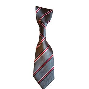Ohio State Helmet Stripe Neck Tie that Slips Onto Your Dogs Existing Collar (Large 10 inch length)