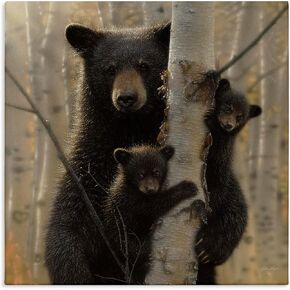 Stupell Industries Black Bear and Cubs Soft Birch Tree Forest, Design by Collin Bogle Canvas Wall Art, 36x36, Brown