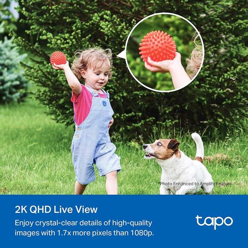 Tapo من TP-Link كاميرا أمان خارجية لاسلكية، 1080 بكسل، عمر بطارية يصل إلى 180 يومًا، اكتشاف مجاني للشخص، تخزين SD/سحاب، رؤية ليلية ملونة، إنذار، لا حاجة إلى محور، أسود، C403 in Kuwait