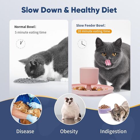 AAA AMUSANG Cat Slow Feeder Bowl, Silicone Material Cat Toy Bowl, Cat Fun Slow Feeder, Suction Cup Cat Bowl Slow Feeder, Lightweight, Durable and Easy to Clean Cat Feeder Purple in Saudi Arabia
