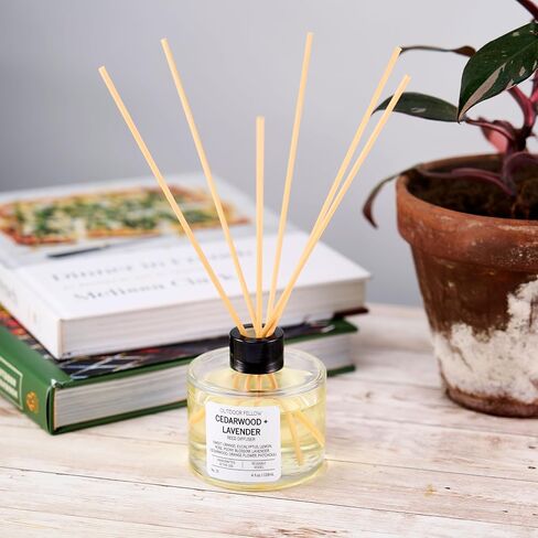 Rosa Moschata (Musk Rose) Reed Diffuser Set - Bergamot, Rose and Sandalwood Scented Reed Diffuser for Home, Home Freshener Diffuser with Sticks, Long Lasting Fragrance, 4 fl.oz. in Saudi Arabia