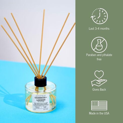 Rosa Moschata (Musk Rose) Reed Diffuser Set - Bergamot, Rose and Sandalwood Scented Reed Diffuser for Home, Home Freshener Diffuser with Sticks, Long Lasting Fragrance, 4 fl.oz. in Saudi Arabia
