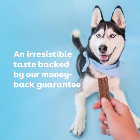 Pupford Chicken Jerky for Dogs & Puppies, All-Natural, Healthy Dog Treats, No Fillers, Made in USA (10 oz) in Saudi Arabia