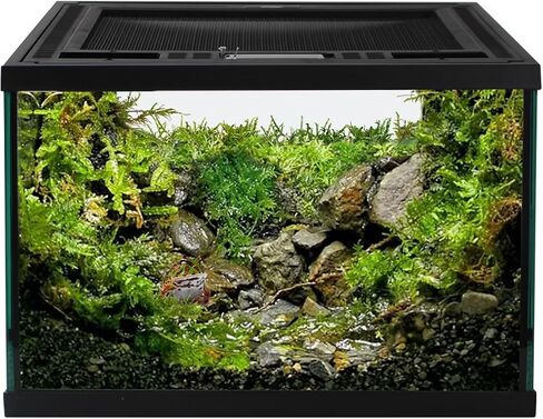 Reptile Glass Tank 16"x11"x9" Terrarium with Top Opening and Screen Ventilation for Leopard Gecko,Lizard,Hermit Crab,Snake,Spider,Frog,Bearded Dragon,Turtle with Feeding Tongs in Saudi Arabia