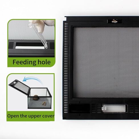 Reptile Glass Tank 16"x11"x9" Terrarium with Top Opening and Screen Ventilation for Leopard Gecko,Lizard,Hermit Crab,Snake,Spider,Frog,Bearded Dragon,Turtle with Feeding Tongs in Saudi Arabia