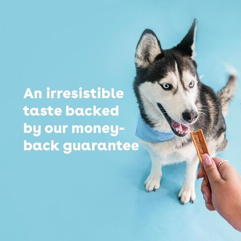 Pupford Pork Jerky for Dogs & Puppies, All-Natural, Healthy Dog Treats, No Fillers, Made in USA (10 oz) in Kuwait