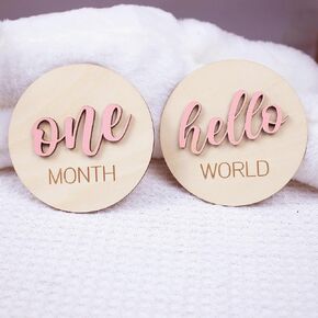 Baby Monthly Milestone, Wooden Baby Milestone Signs, Monthly Milestone Wood Discs, Baby Milestone Discs (Pink)