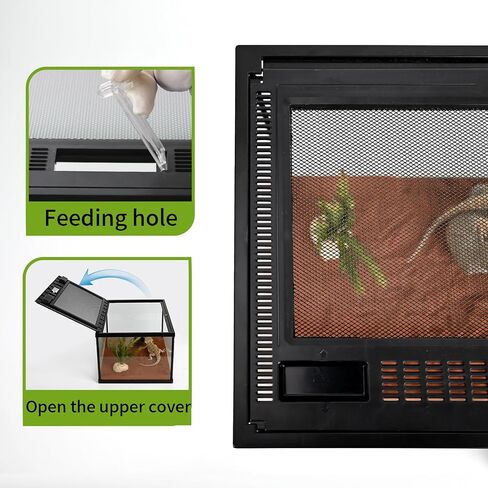خزان تررم زجاجي للزواحف 12 * 12 * 8 بوصة رؤية كاملة مع تهوية علوية، قفص موئل البرمائيات للضفدع، العناكب، صرصور دوبيا، فرس النبي، الكريكيت، الرتيلاء، سرطان البحر الناسك in Saudi Arabia