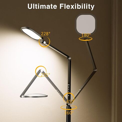 Ring Light with Stand, 15W Dimmable Zoom Lighting for Computer, Home Office, Reading, Video Calls, 66 Inches Floor Lamp with Flexible Swing Arm, AC Plug, Remote, Memory & Timer CRI >95 in Saudi Arabia