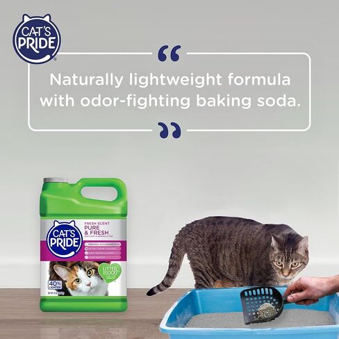 Cat's Pride Premium Lightweight Clumping Litter: Pure & Fresh - Up to 10 Days of Powerful Odor Control - Multi-Cat, Scented, 18 Pounds in Kuwait