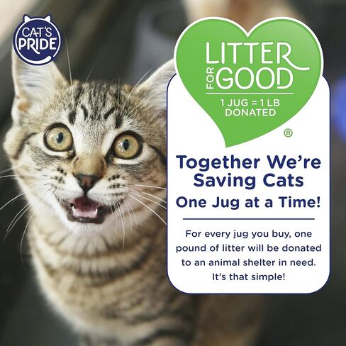 Cat's Pride Premium Lightweight Clumping Litter: Pure & Fresh - Up to 10 Days of Powerful Odor Control - Multi-Cat, Scented, 18 Pounds in Kuwait