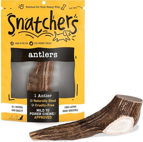 Snatchers Elk Antlers for Dogs – Long Lasting Dog Chews and Dog Toys for Aggressive Chewers, Naturally Shed Deer Antlers for Dogs Processed in The USA, No Additives (Small, 1 Count) in Saudi Arabia
