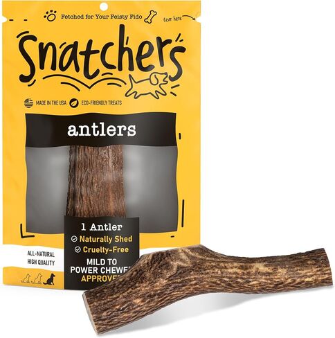 Snatchers Elk Antlers for Dogs – Long Lasting Dog Chews and Dog Toys for Aggressive Chewers, Naturally Shed Deer Antlers for Dogs Processed in The USA, No Additives (Small, 1 Count) in Saudi Arabia
