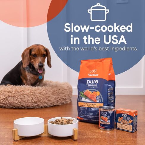 CANIDAE Pure Bone Broth Topper with Real Turkey & Rice Wet Dog Food, 5.5 oz. (Case of 12) in Saudi Arabia