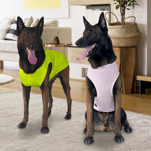 2 Pack Dog Shirts, Ice Pet Vest Dog Clothes for Instant Cooling, Lightweight Breathable Sleeveless T-Shirts for Large Dogs, Light Purple+Fluorescent Green (2XL) in Saudi Arabia