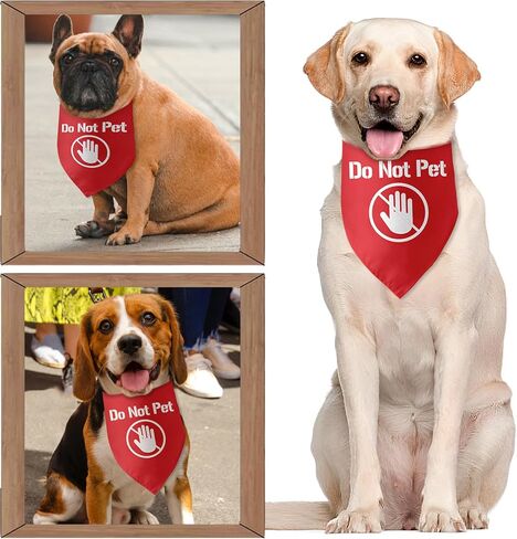Lifeguard Dog Bandana Triangle Dog Bandanas for Dogs Puppy Bandana Funny Pet Puppy Photo Prop Pet Scarf Accessories for Pet Dog Lovers Gifts in Saudi Arabia