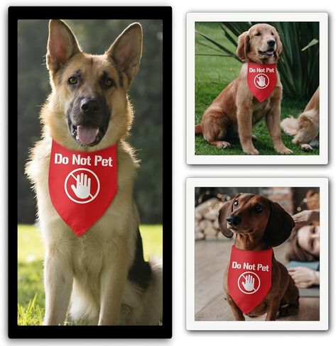 Lifeguard Dog Bandana Triangle Dog Bandanas for Dogs Puppy Bandana Funny Pet Puppy Photo Prop Pet Scarf Accessories for Pet Dog Lovers Gifts in Saudi Arabia