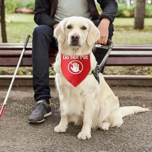Lifeguard Dog Bandana Triangle Dog Bandanas for Dogs Puppy Bandana Funny Pet Puppy Photo Prop Pet Scarf Accessories for Pet Dog Lovers Gifts in Saudi Arabia
