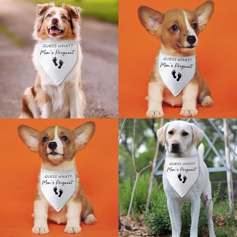 Wedding Dog Bandana Best Friend of Bride Dog Bandana Engagement Wedding Announcement Dog Bandanas Puppy Bandana Triangle Bibs Scarf Accessories for Small Medium Dogs Pets in Saudi Arabia