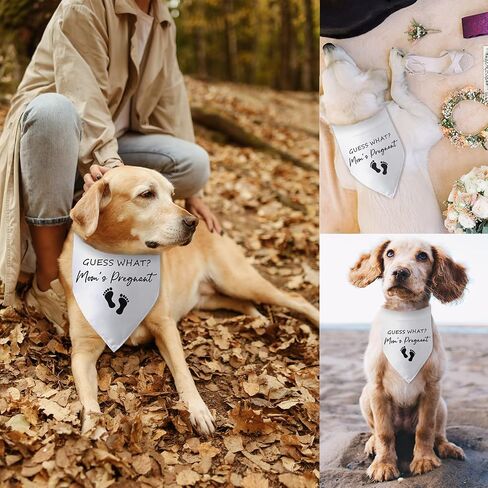 Wedding Dog Bandana Best Friend of Bride Dog Bandana Engagement Wedding Announcement Dog Bandanas Puppy Bandana Triangle Bibs Scarf Accessories for Small Medium Dogs Pets in Saudi Arabia