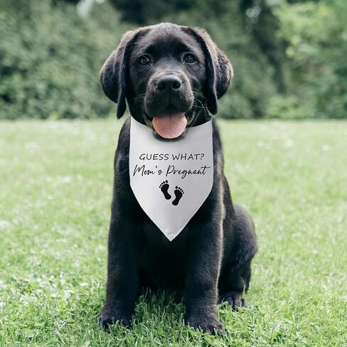 Wedding Dog Bandana Best Friend of Bride Dog Bandana Engagement Wedding Announcement Dog Bandanas Puppy Bandana Triangle Bibs Scarf Accessories for Small Medium Dogs Pets in Saudi Arabia