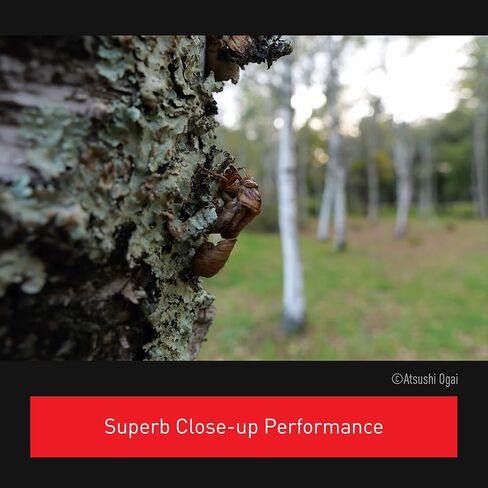عدسة كاميرا LUMIX G Series من باناسونيك، 12-35 مم F2.8 Leica DG Vario-ELMARIT عدسة قابلة للتبديل للكاميرات الرقمية ذات الأربعة أثلاث بدون مرآة، Power O.I.S. - H-ES12035 (متجدد) in Saudi Arabia